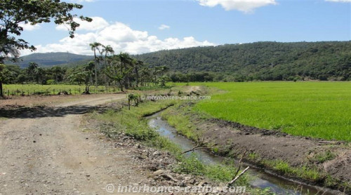 photos for LA VEGA: PRODUCING RICE FARM